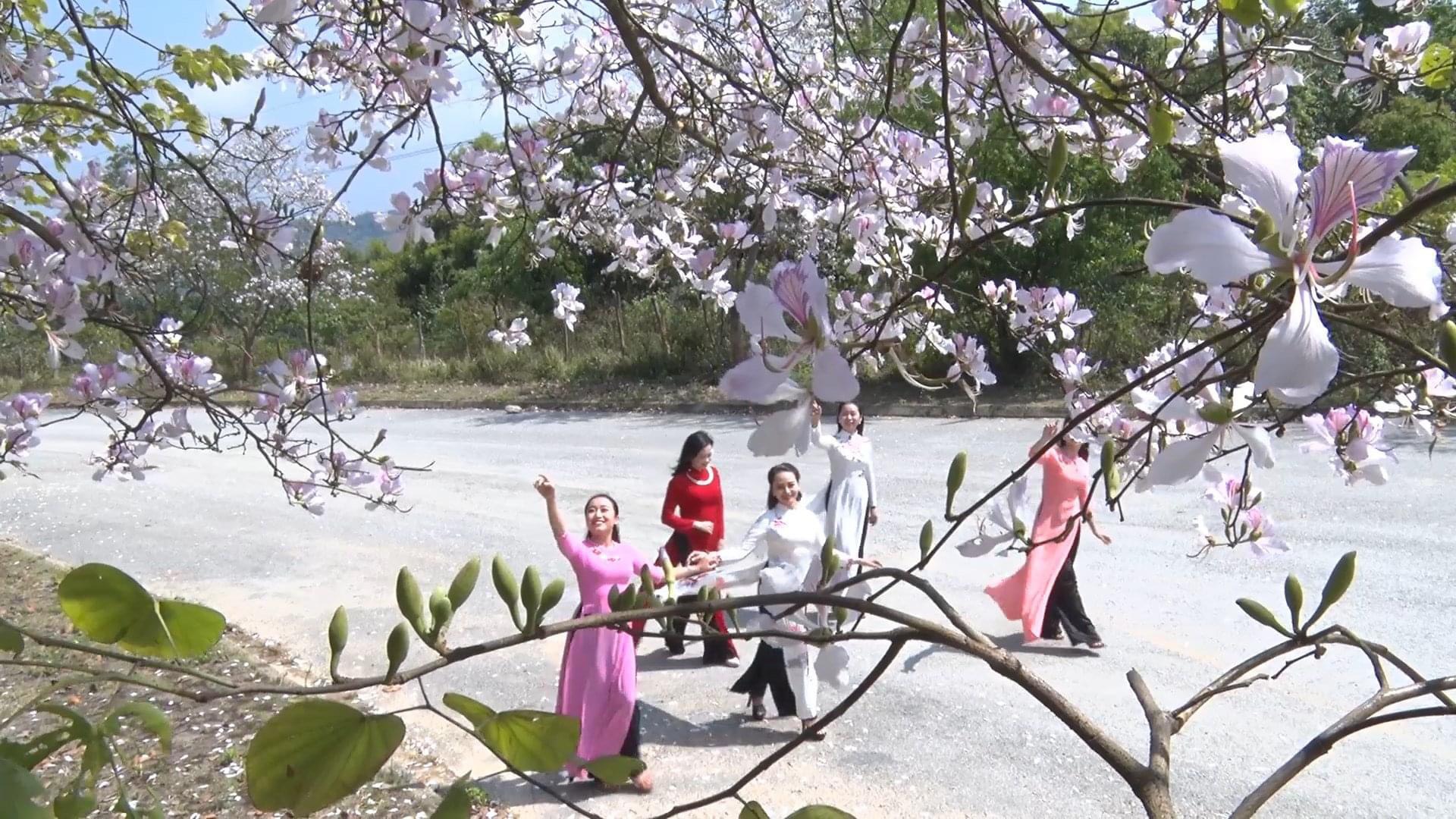 Năm du lịch quốc gia - Điện Biên 2024: Sức hút miền hoa ban