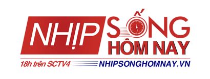 nhip-song-hom-nay