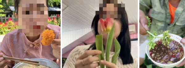 Cẩn thận với trend 'ăn hoa như ăn rau'
