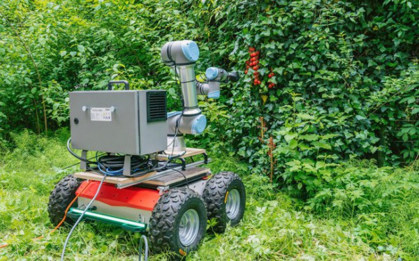 ChatGPT được sử dụng để tạo ra robot thu hoạch nông sản ChatGPT được sử dụng để tạo ra robot thu hoạch nông sản