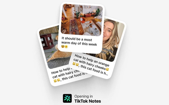 TikTok sắp ra mắt ứng dụng chia sẻ ảnh