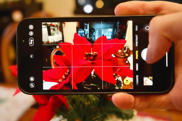 Vì sao camera iPhone đột nhiên hiện biểu tượng bông hoa? Vì sao camera iPhone đột nhiên hiện biểu tượng bông hoa?