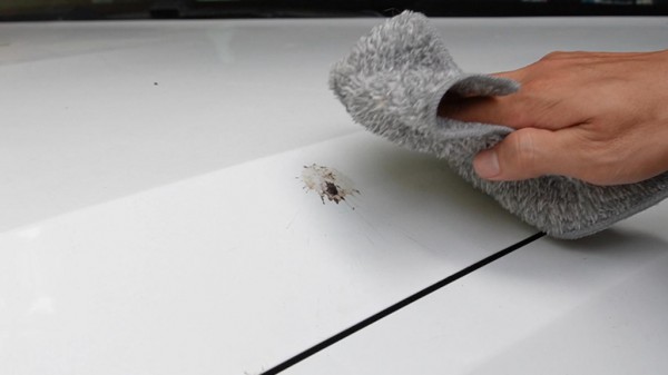 Cách loại bỏ phân chim, nhựa cây trên lớp sơn ô tô Cách loại bỏ phân chim, nhựa cây trên lớp sơn ô tô