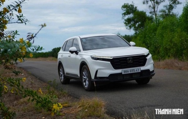 Crossover cỡ trung: Đại lý 'cắn răng' chịu lỗ, Ford Territory lần đầu vượt Mazda CX-5 Crossover cỡ trung: Đại lý 'cắn răng' chịu lỗ, Ford Territory lần đầu vượt Mazda CX-5