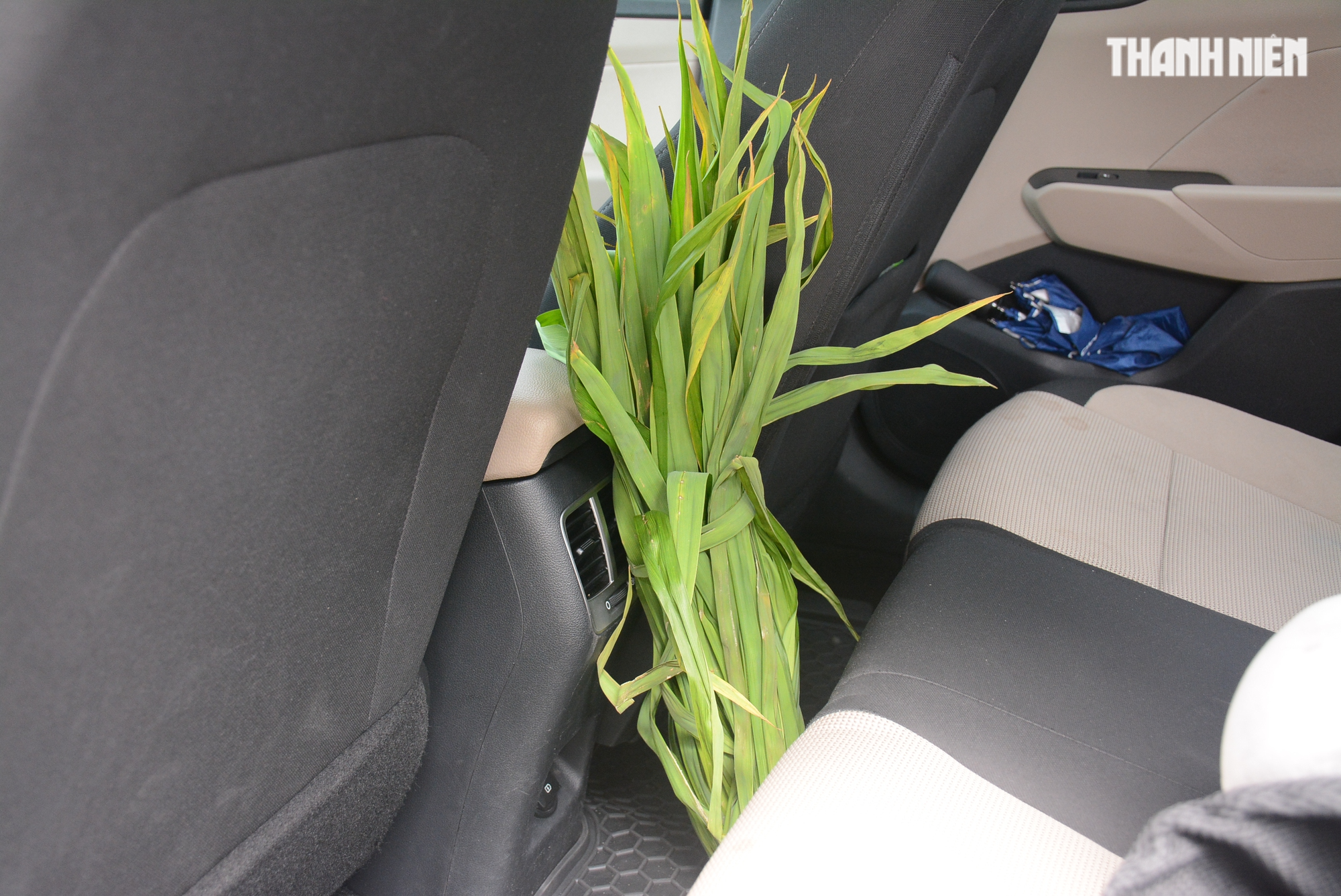 Mẹo loại bỏ mùi ẩm mốc trong khoang nội thất ô tô Mẹo loại bỏ mùi ẩm mốc trong khoang nội thất ô tô