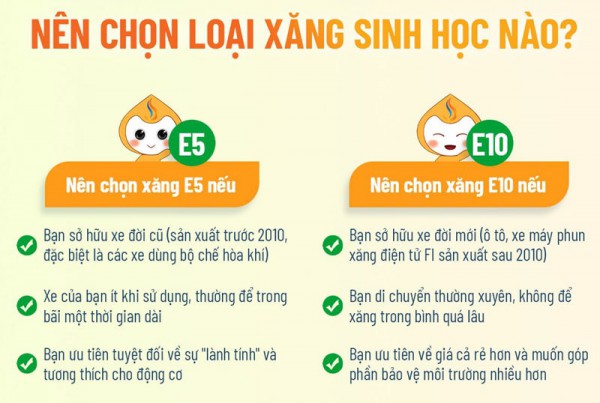 Muốn mua xăng sinh học E5 có dễ? Muốn mua xăng sinh học E5 có dễ?