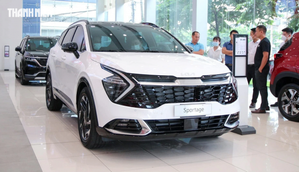 Người Việt giảm mua xe Hyundai, Kia, vị thế ô tô Hàn Quốc lung lay