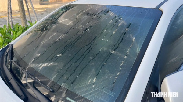 Thực hư mẹo dùng dầu gội để ngăn kính ô tô bị mờ hơi sương Thực hư mẹo dùng dầu gội để ngăn kính ô tô bị mờ hơi sương