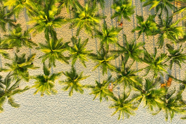 13 đặc khu của Việt Nam: Phú Quốc đảo ngọc từ thành phố lên đặc khu 13 đặc khu của Việt Nam: Phú Quốc đảo ngọc từ thành phố lên đặc khu