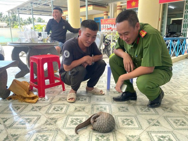 5 thanh niên ở Khánh Hòa giao nộp tê tê Java quý hiếm cho công an 5 thanh niên ở Khánh Hòa giao nộp tê tê Java quý hiếm cho công an