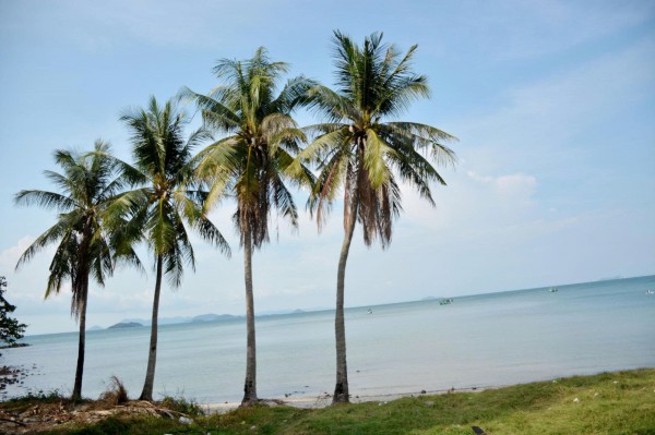 An Giang: 2 du khách tử vong khi chèo thuyền sup ở đảo Hòn Tre