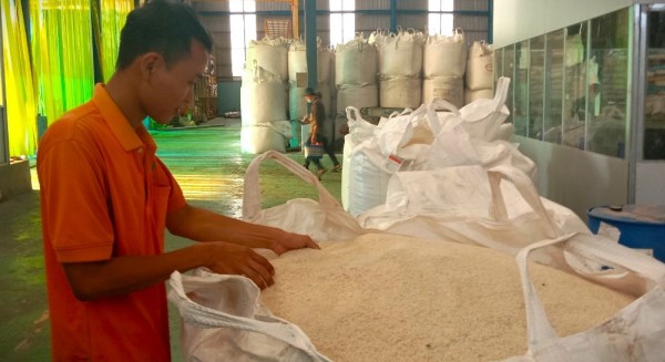An Giang đề xuất Chính phủ hỗ trợ gần 558 tấn gạo
