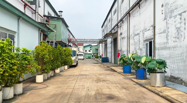 BV Pharma bị xử phạt 100 triệu đồng, đình chỉ hoạt động 7,5 tháng