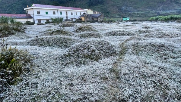 Băng giá, sương muối đến sớm, mùa đông năm nay rét mạnh