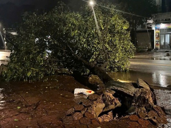 Bão Kalmaegi đổ bộ đất liền Bão Kalmaegi đổ bộ đất liền