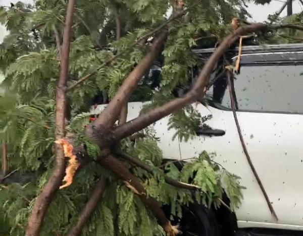 Bão số 10: Cây xanh ở Đà Nẵng ngã đè ô tô, 6 người mắc kẹt trong xe Bão số 10: Cây xanh ở Đà Nẵng ngã đè ô tô, 6 người mắc kẹt trong xe