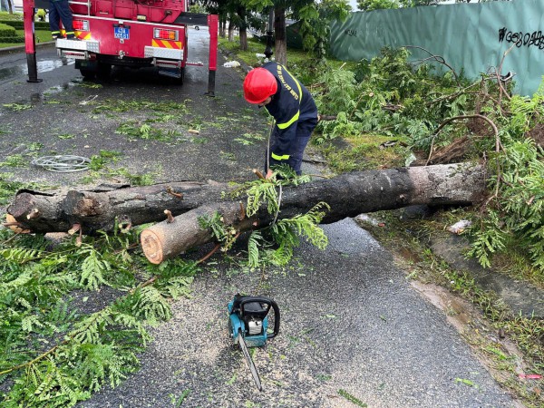 Bão số 10: Cây xanh ở Đà Nẵng ngã đè ô tô, 6 người mắc kẹt trong xe Bão số 10: Cây xanh ở Đà Nẵng ngã đè ô tô, 6 người mắc kẹt trong xe