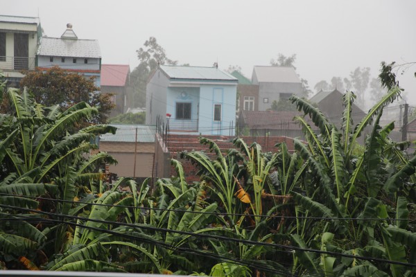 Bão số 5: Nghệ An đang có gió giật kèm mưa lớn