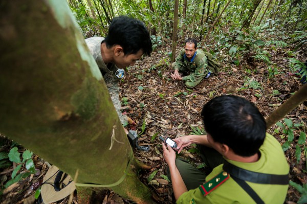 'Biệt đội bẫy ảnh' săn tìm dấu chân thú hoang 'Biệt đội bẫy ảnh' săn tìm dấu chân thú hoang