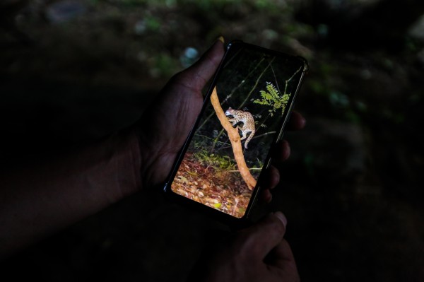 'Biệt đội bẫy ảnh' săn tìm dấu chân thú hoang 'Biệt đội bẫy ảnh' săn tìm dấu chân thú hoang