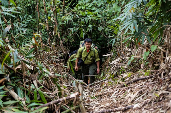 'Biệt đội bẫy ảnh' săn tìm dấu chân thú hoang 'Biệt đội bẫy ảnh' săn tìm dấu chân thú hoang