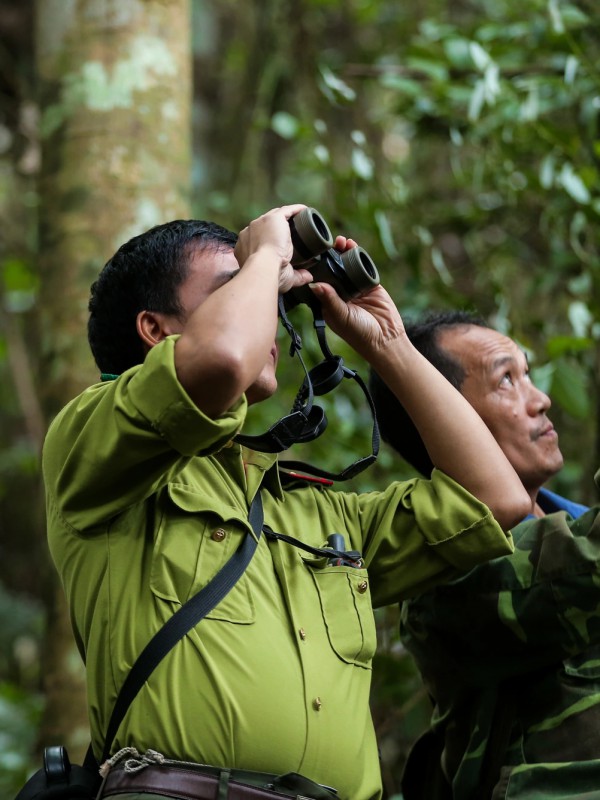 'Biệt đội bẫy ảnh' săn tìm dấu chân thú hoang 'Biệt đội bẫy ảnh' săn tìm dấu chân thú hoang