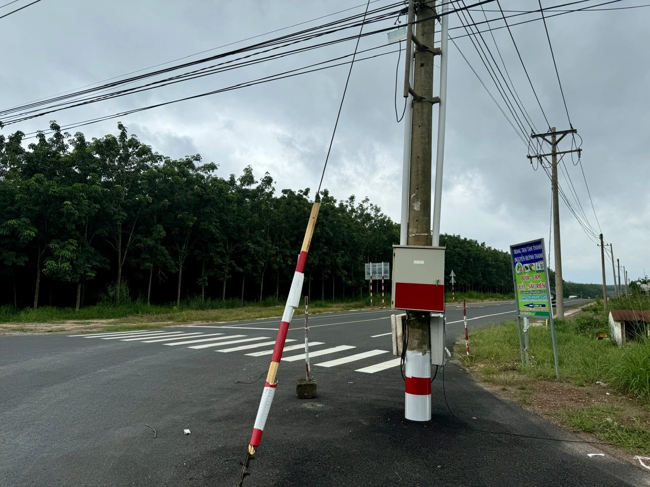 Bình Dương: Nhiều công trình đầu tư công vi phạm đấu thầu, nhưng chỉ rút kinh nghiệm