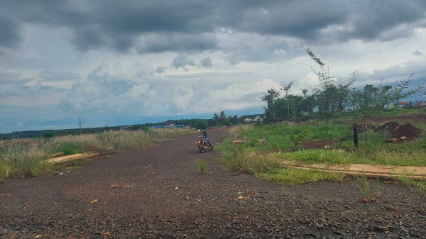 Bình Phước: 3 doanh nghiệp bị thu hồi đất do không triển khai dự án