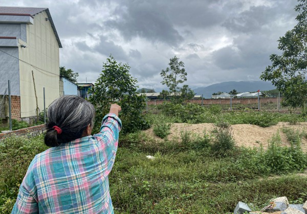 Bình Định: Thu hồi dự án sản xuất rau an toàn, xử lý cán bộ vi phạm Bình Định: Thu hồi dự án sản xuất rau an toàn, xử lý cán bộ vi phạm