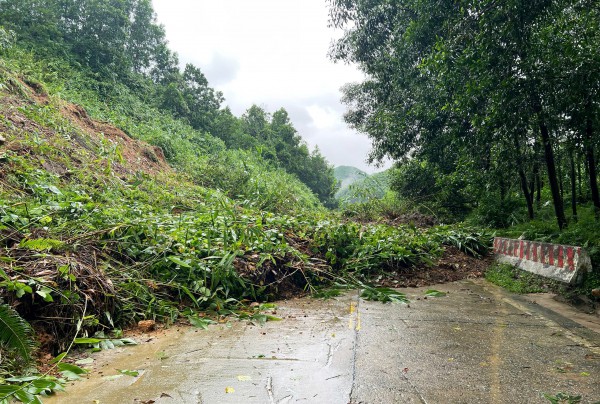 Bờ biển Hội An bị xâm thực gần 30 m, uy hiếp khu dân cư Bờ biển Hội An bị xâm thực gần 30 m, uy hiếp khu dân cư