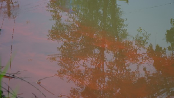 Cà Mau: Nước kênh 'có màu đỏ do người dân rửa thùng sơn' lại chuyển màu