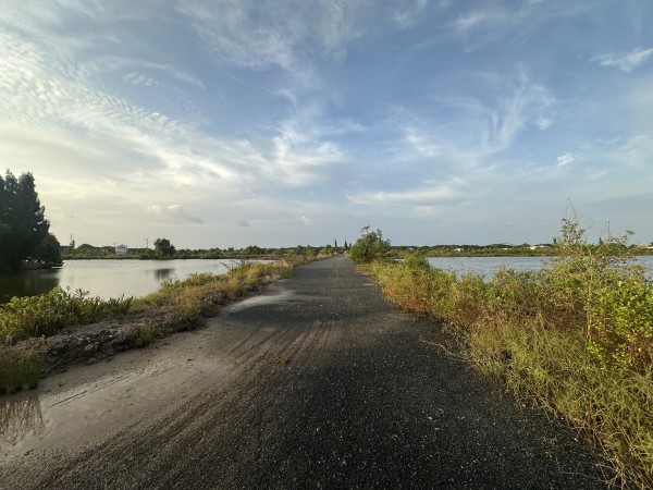 Cà Mau hoàn tất làm sạch gần 490.000 thửa đất, đồng bộ dữ liệu 2 cấp Cà Mau hoàn tất làm sạch gần 490.000 thửa đất, đồng bộ dữ liệu 2 cấp