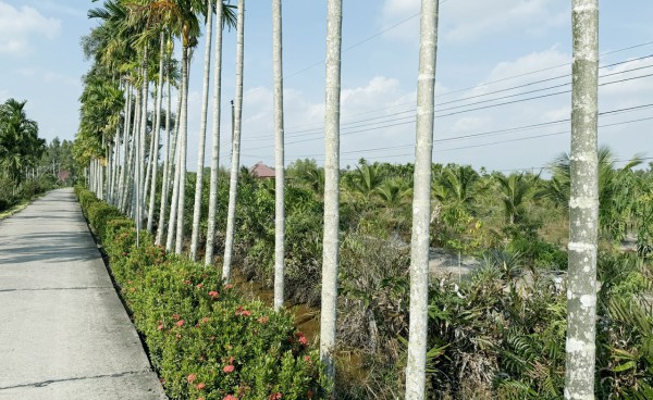 Cà Mau lập 13 phường: Hồng Dân với khát vọng vươn lên mạnh mẽ