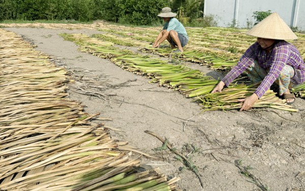 Cà Mau lập 13 phường: Hồng Dân với khát vọng vươn lên mạnh mẽ