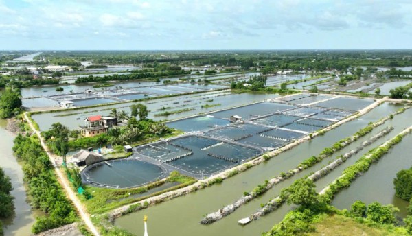 Cà Mau lập 13 phường: Năm Căn lên phường, không gian chiến lược ven biển