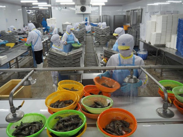 Cà Mau lập 13 phường: Năm Căn lên phường, không gian chiến lược ven biển