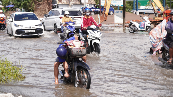 Cà Mau ứng phó cao điểm triều cường, vận hành hơn 300 cống đập ven biển Cà Mau ứng phó cao điểm triều cường, vận hành hơn 300 cống đập ven biển