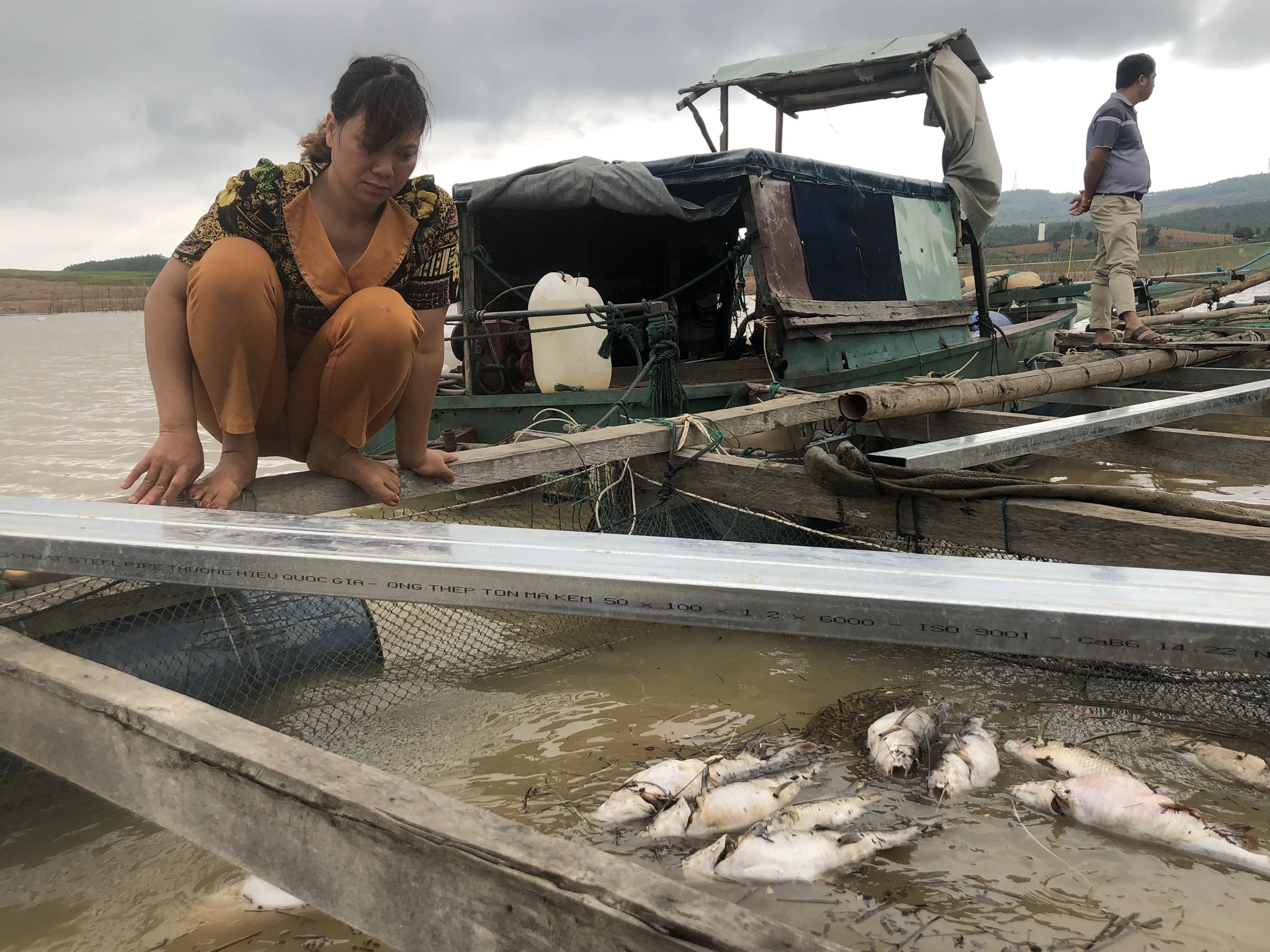 Cá lăng nuôi trong lồng bè tại lòng hồ thủy điện Ya Ly chết hàng loạt