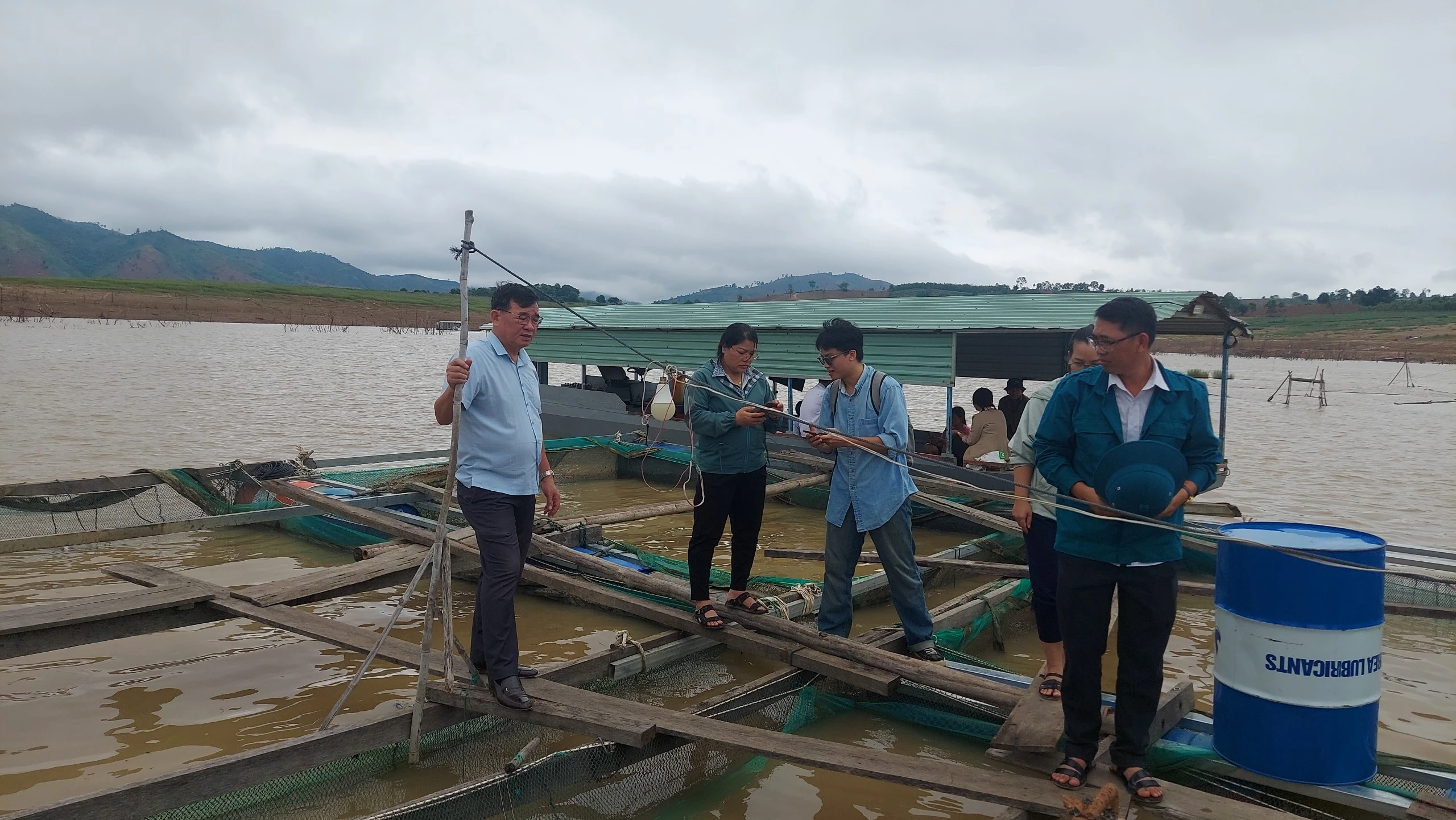 Cá lăng nuôi trong lồng bè tại lòng hồ thủy điện Ya Ly chết hàng loạt