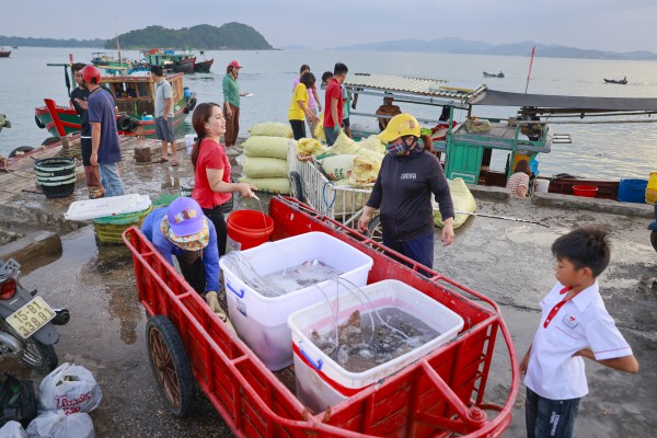 Các đặc khu của Việt Nam: Cô Tô - Phên dậu Vịnh Bắc Bộ Các đặc khu của Việt Nam: Cô Tô - Phên dậu Vịnh Bắc Bộ