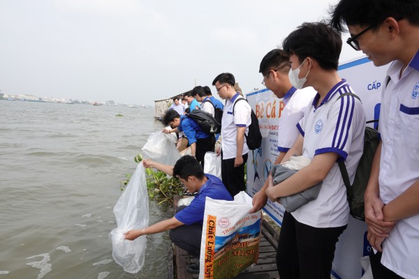 Cần Thơ: Thả gần 1 tấn cá giống ra sông Hậu