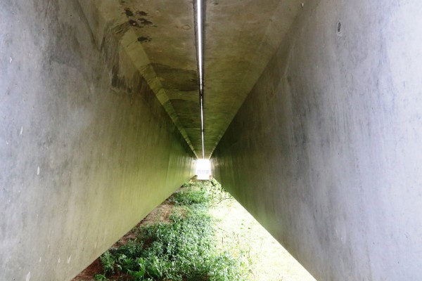 Cận cảnh cầu 220 tỉ đồng bắc qua sông Trường Giang 'treo' gần thập niên