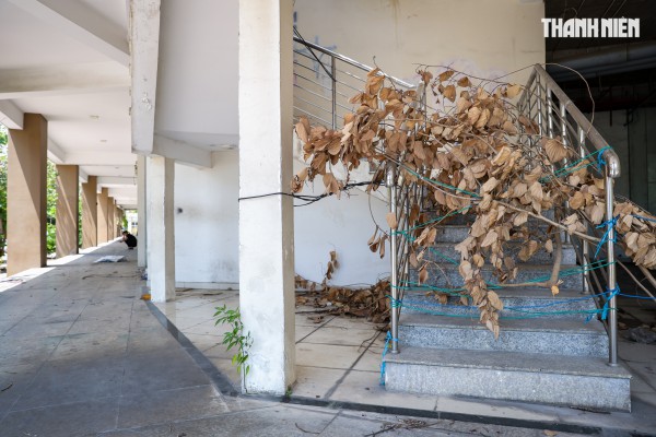 Cận cảnh khu căn hộ nghìn tỉ xuống cấp ở Thủ Thiêm chuẩn bị đấu giá