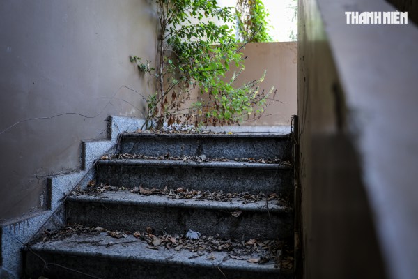 Cận cảnh khu căn hộ nghìn tỉ xuống cấp ở Thủ Thiêm chuẩn bị đấu giá