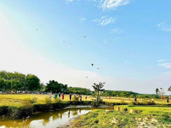 Cánh đồng lúa đẹp như tranh vẽ tại Đồng Nai Cánh đồng lúa đẹp như tranh vẽ tại Đồng Nai