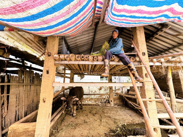 Cao Bằng gượng dậy sau thiên tai mưa lũ lịch sử Cao Bằng gượng dậy sau thiên tai mưa lũ lịch sử