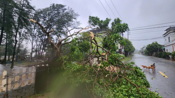 Cập nhật thiệt hại bước đầu do bão số 5 ở Hà Tĩnh