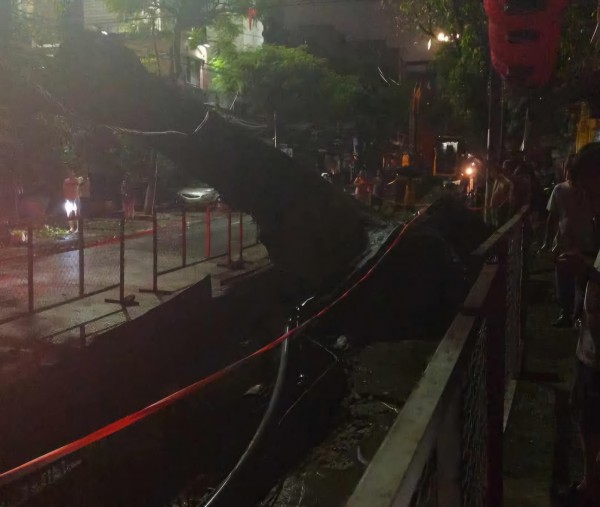 Cây cổ thụ bật gốc đè nhà dân nghi do đào đường thi công dự án