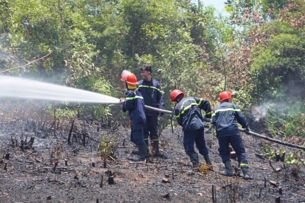 Cháy ở Nghĩa trang TP.Đà Nẵng Cháy ở Nghĩa trang TP.Đà Nẵng