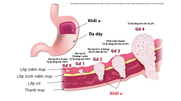 Chỉ chậm 2 tháng, ung thư đã hình thành: Tầm soát sớm và định kỳ thế nào?